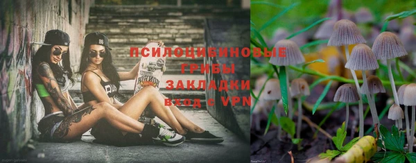хмурый Белоозёрский