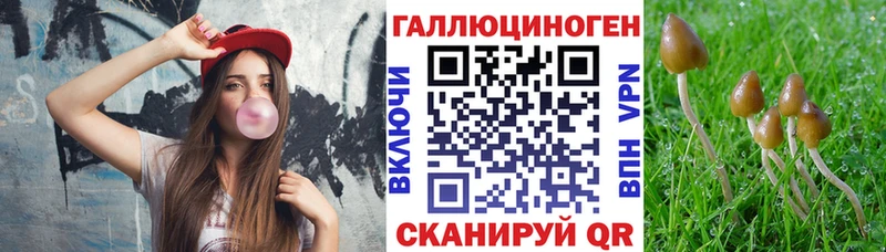 Галлюциногенные грибы Psilocybe  Верхнеуральск 